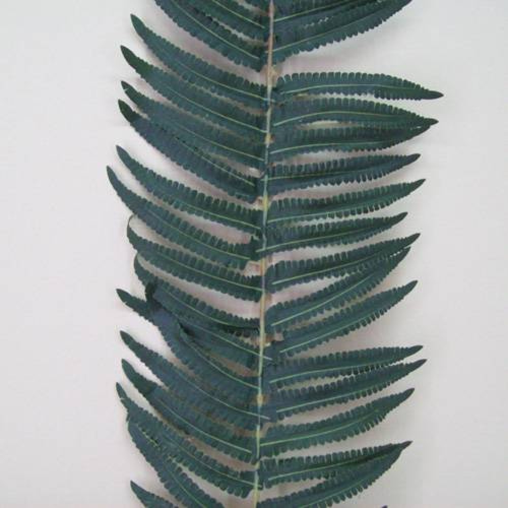 Artificial Fern Leaves Extra Large Artificial Ferns   Artificial Fern Leaves Extra Large Close Up 1 1000x1000 